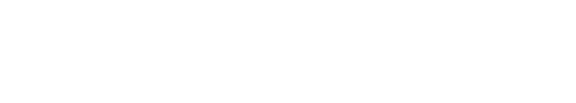 LH Virtual